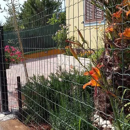 Apartman 1